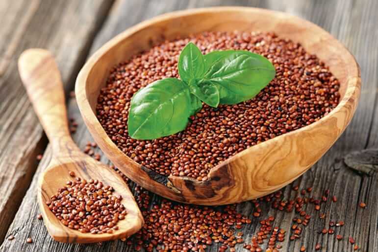 Bosto - potje met lepel en graan, superfood, basilicum