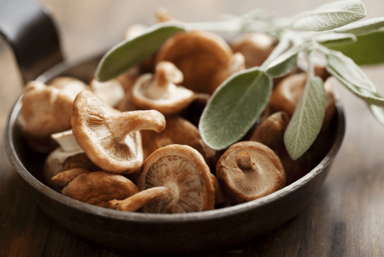 Bosto - Shiitake in kom